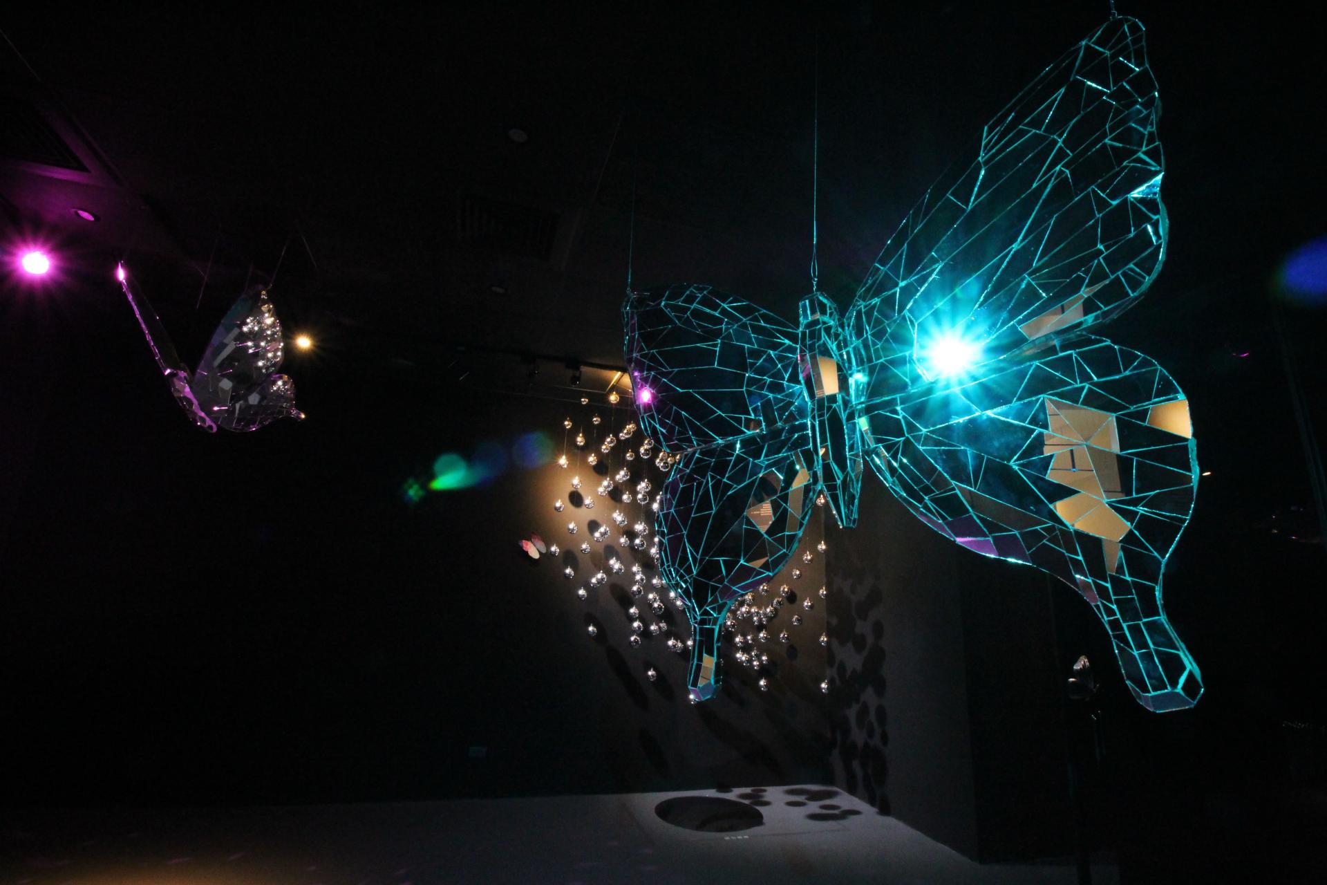 Butterfly Dream's Radiance – A Variation of Light and Shadow