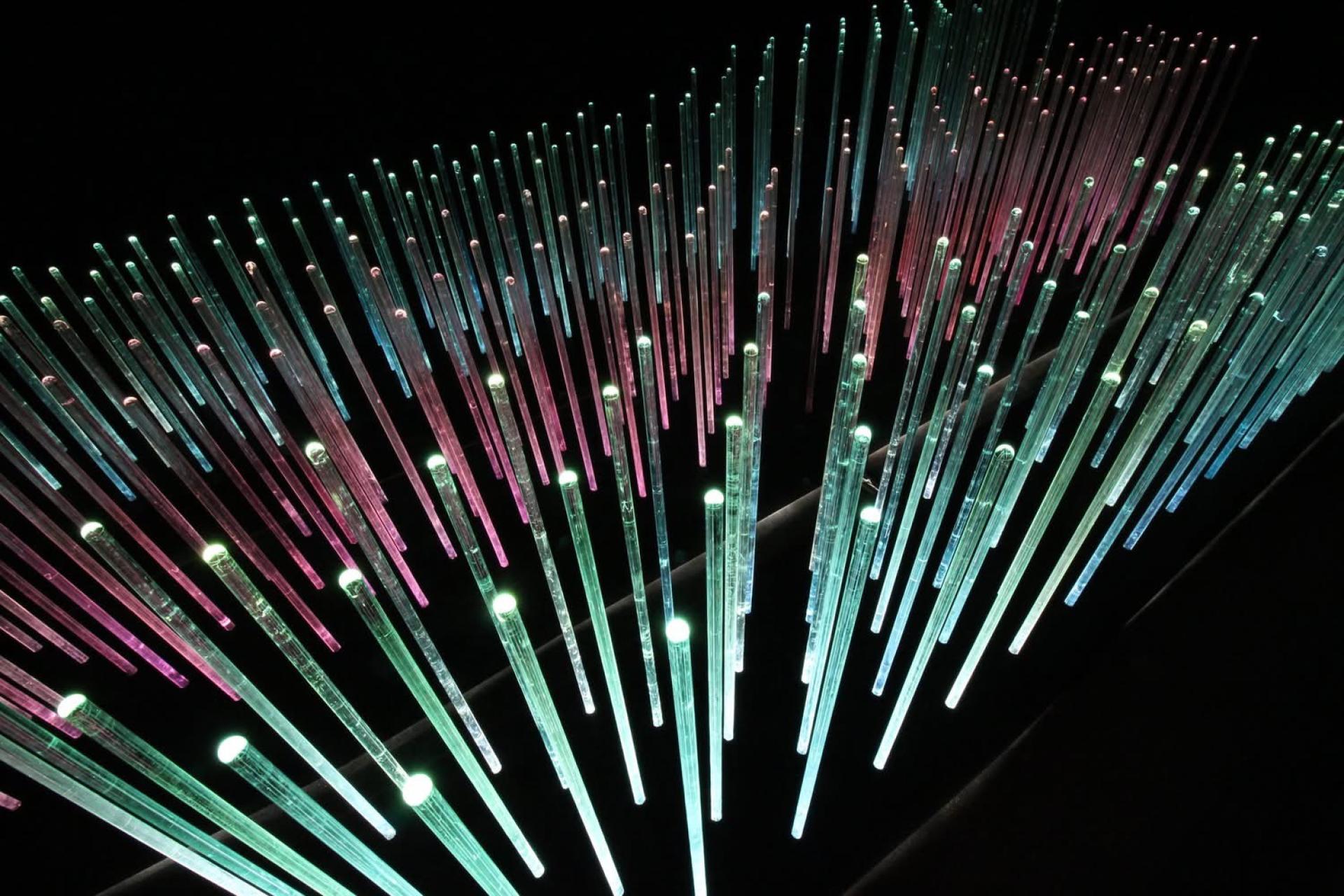 Butterfly Dream's Radiance – A Variation of Light and Shadow