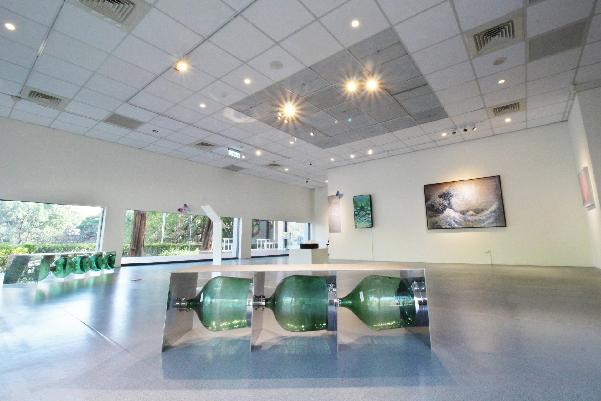 Butterfly Dream's Radiance – A Variation of Light and Shadow