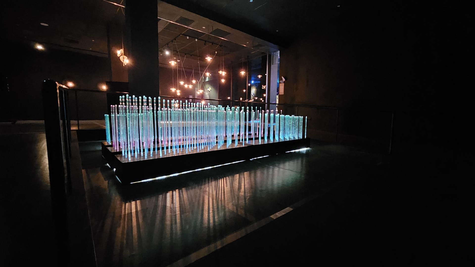 Butterfly Dream's Radiance – A Variation of Light and Shadow