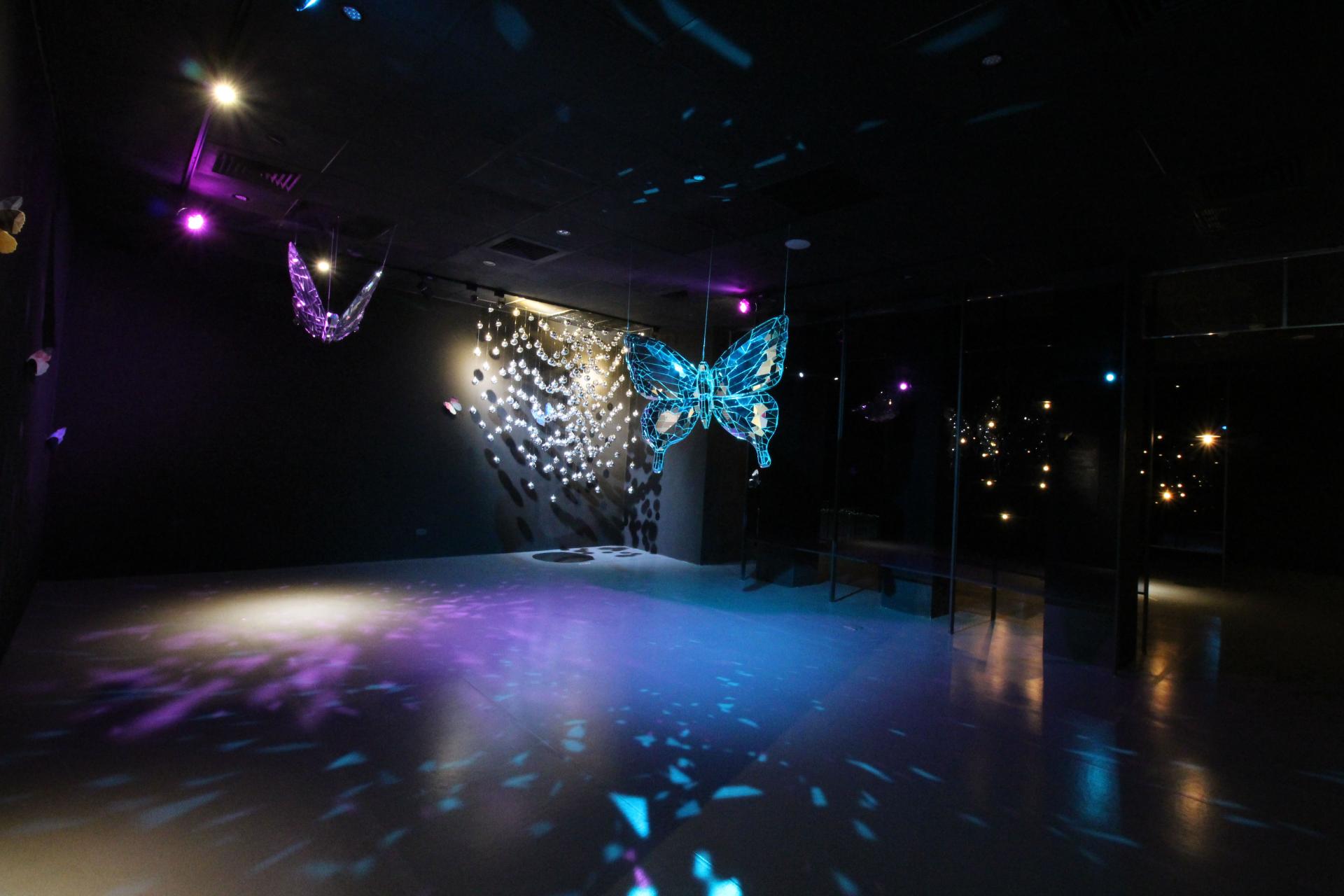 Butterfly Dream's Radiance – A Variation of Light and Shadow