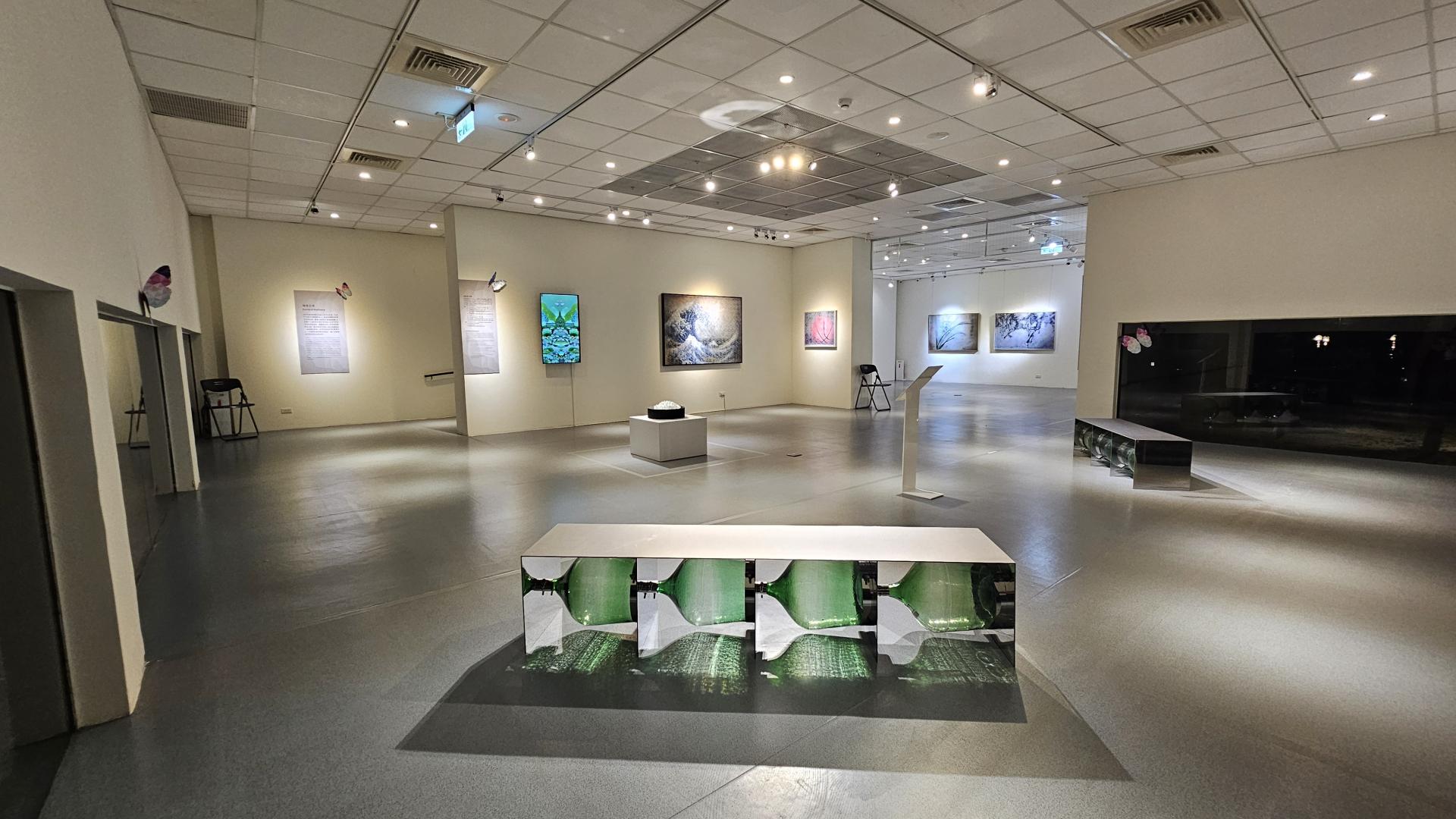 Butterfly Dream's Radiance – A Variation of Light and Shadow