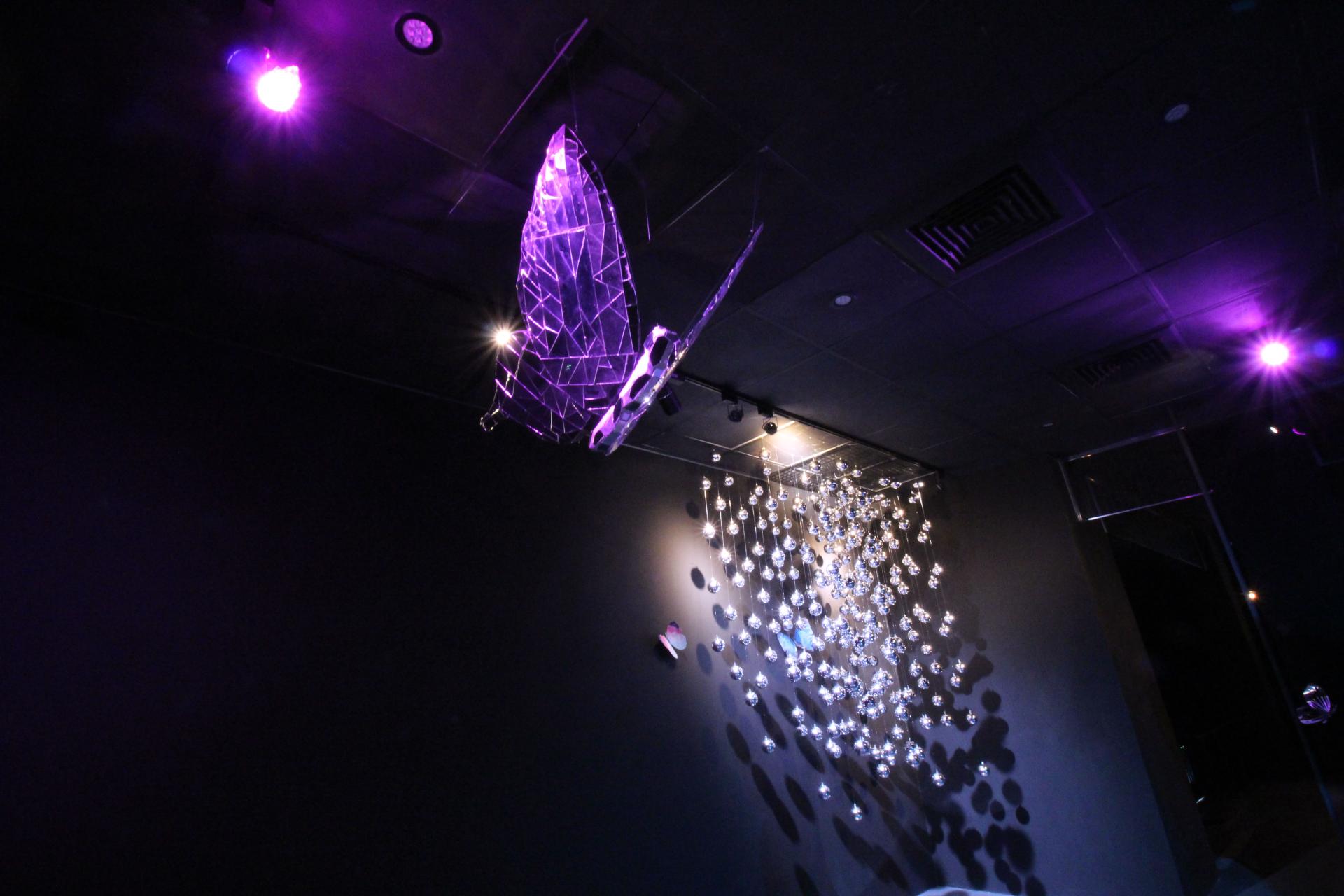 Butterfly Dream's Radiance – A Variation of Light and Shadow