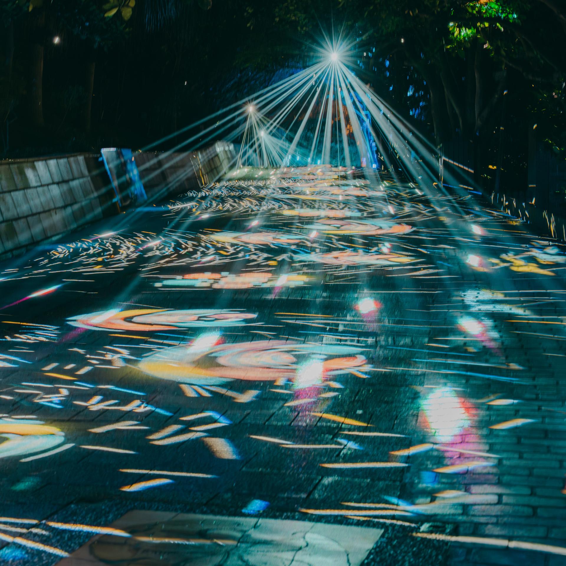 2025 Yehliu夜遊——女王頭燈飾