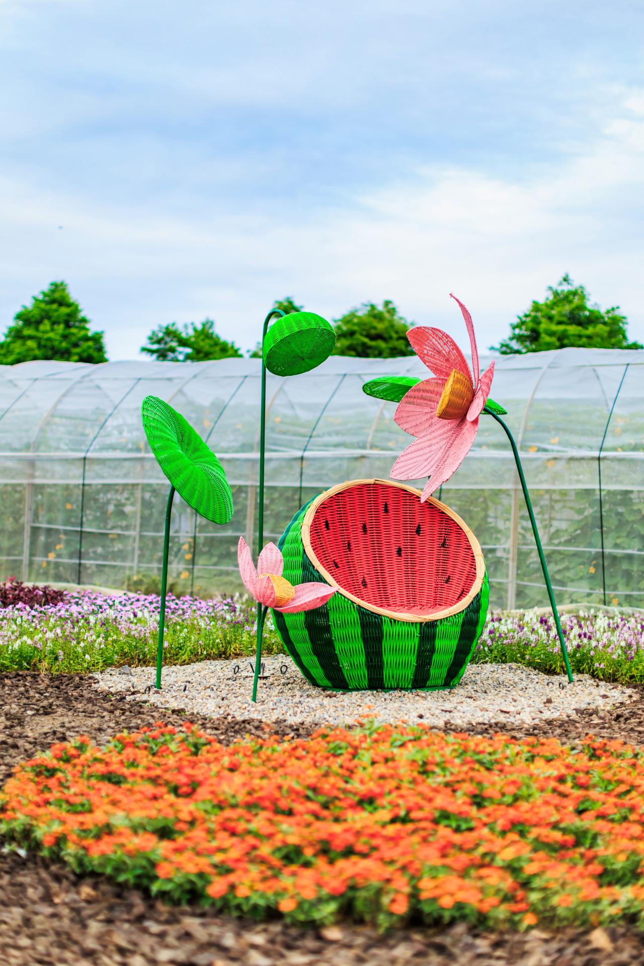 2025 Taoyuan Lotus Festival
