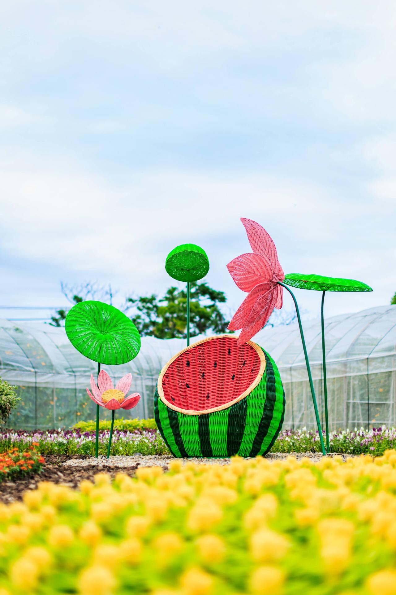2025 Taoyuan Lotus Festival