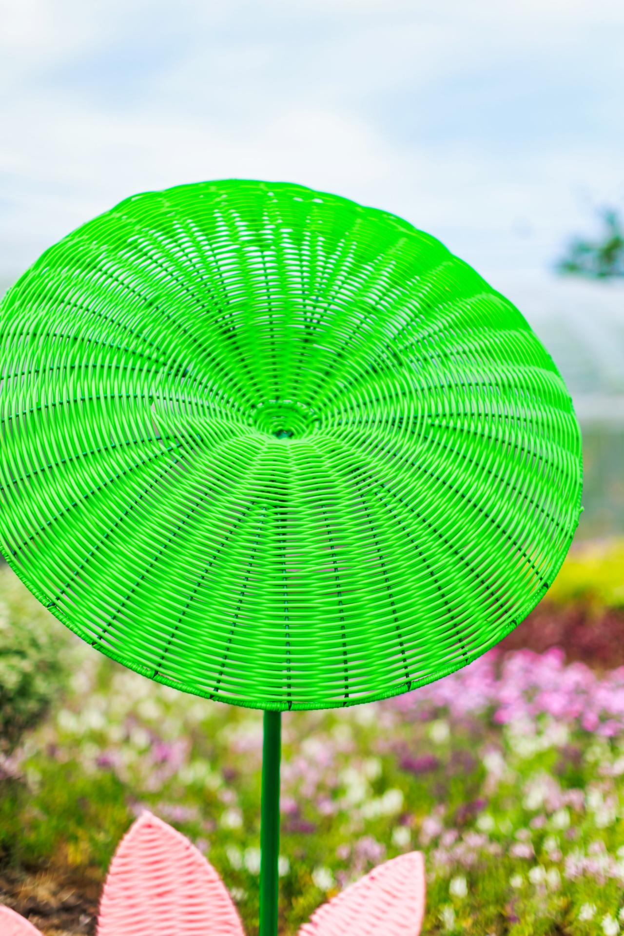 2025 Taoyuan Lotus Festival