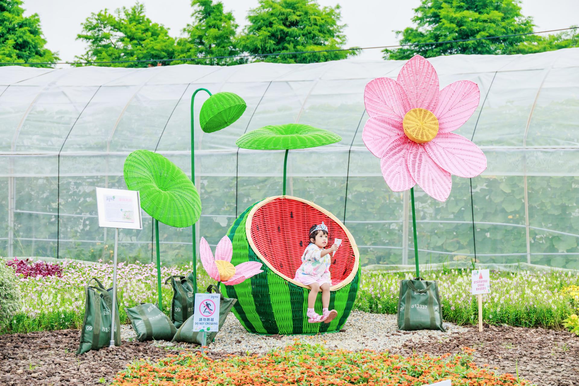 2025 Taoyuan Lotus Festival