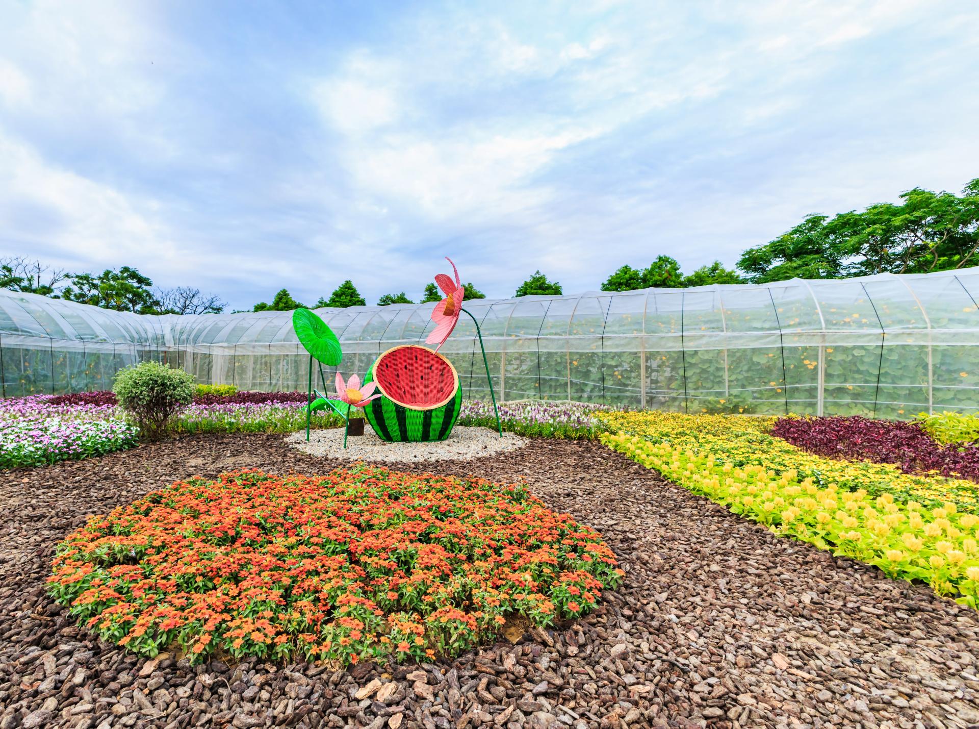 2025 Taoyuan Lotus Festival