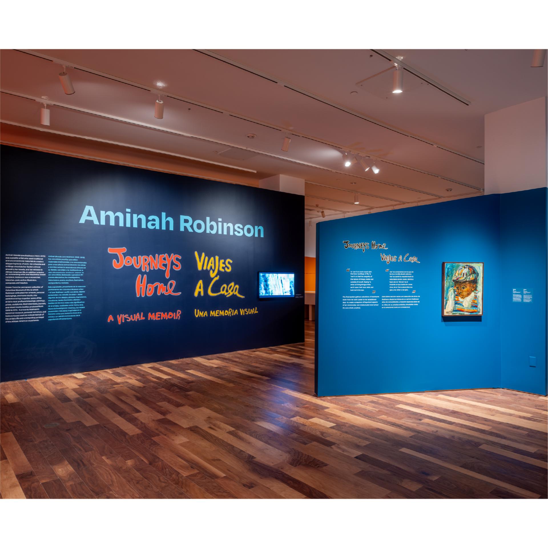 Aminah Robinson: Journeys Home, A Visual Memoir