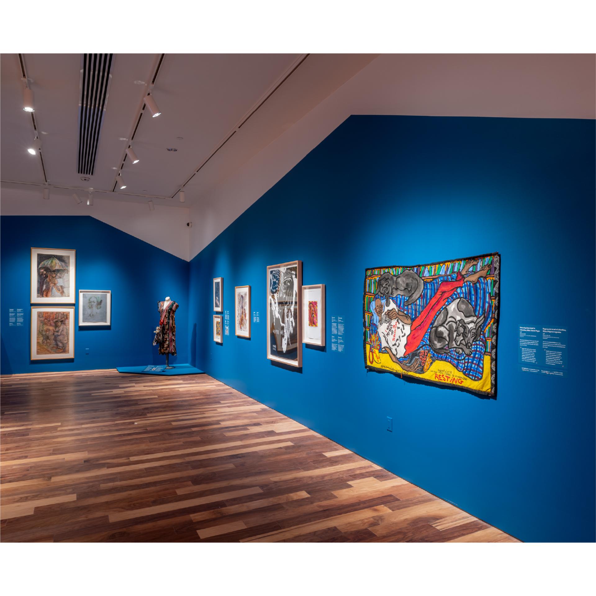 Aminah Robinson: Journeys Home, A Visual Memoir