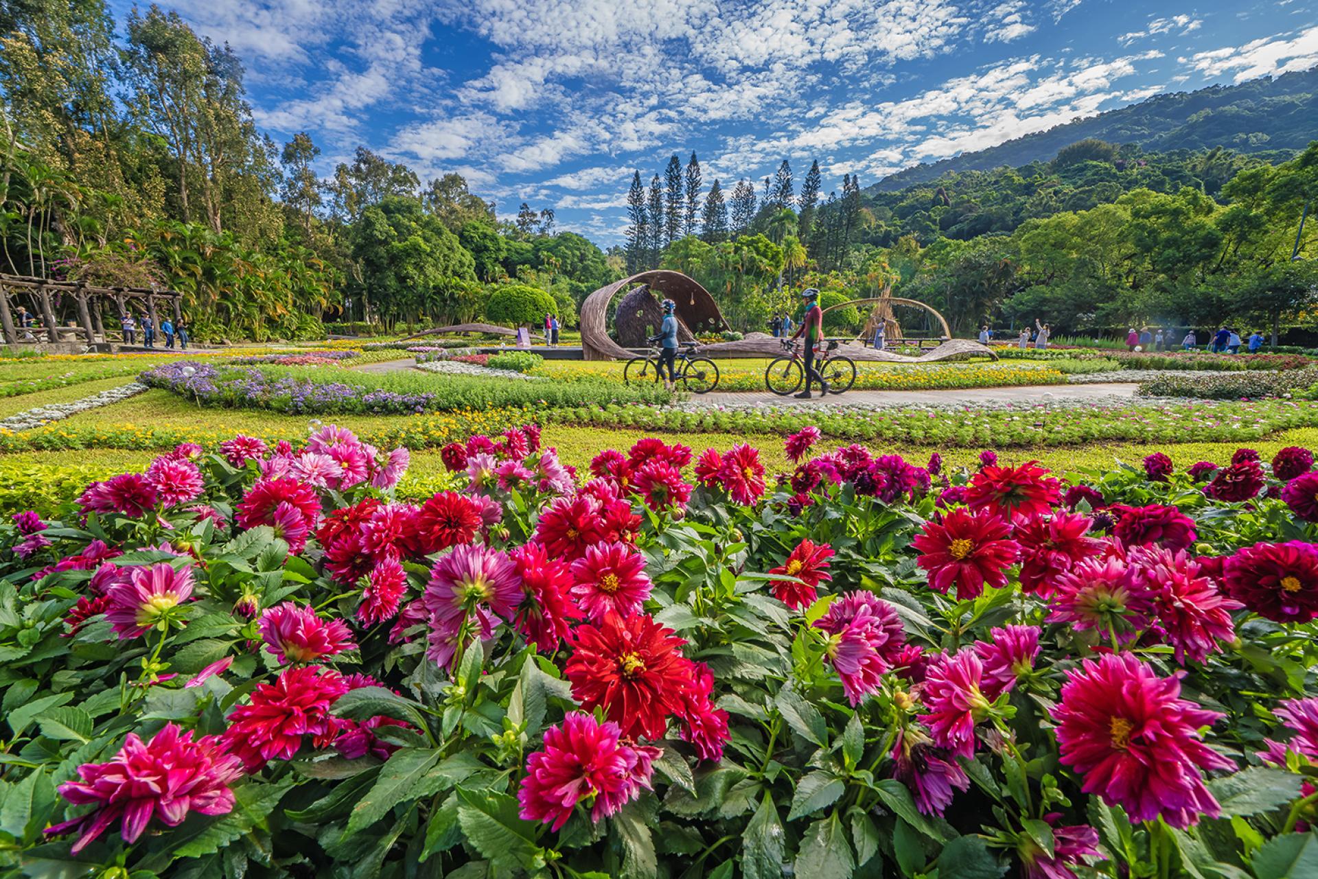 2025 CKS Shilin Residence Chrysanthemum Festival