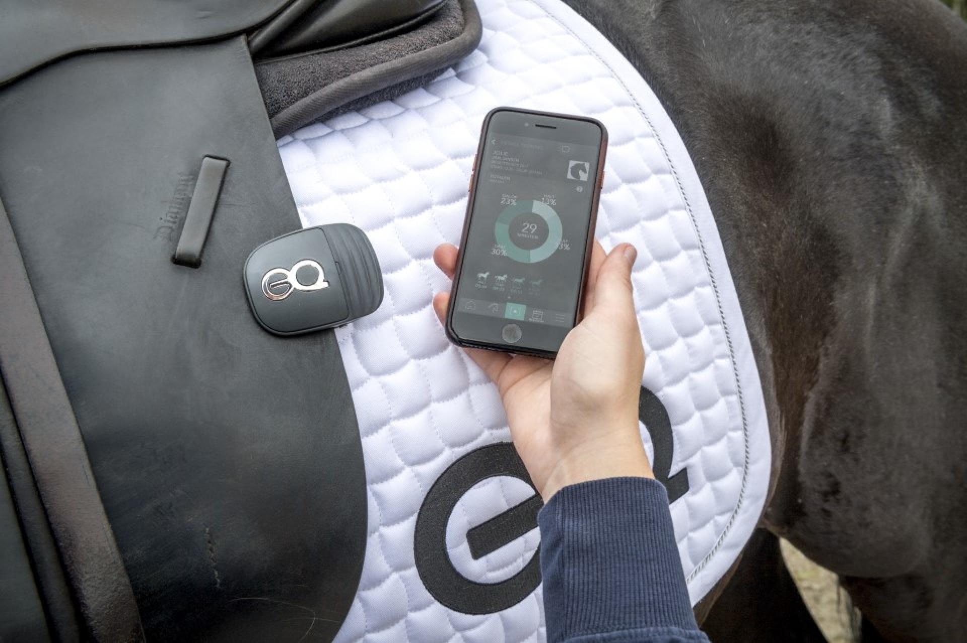 EQ Coach-Copilot