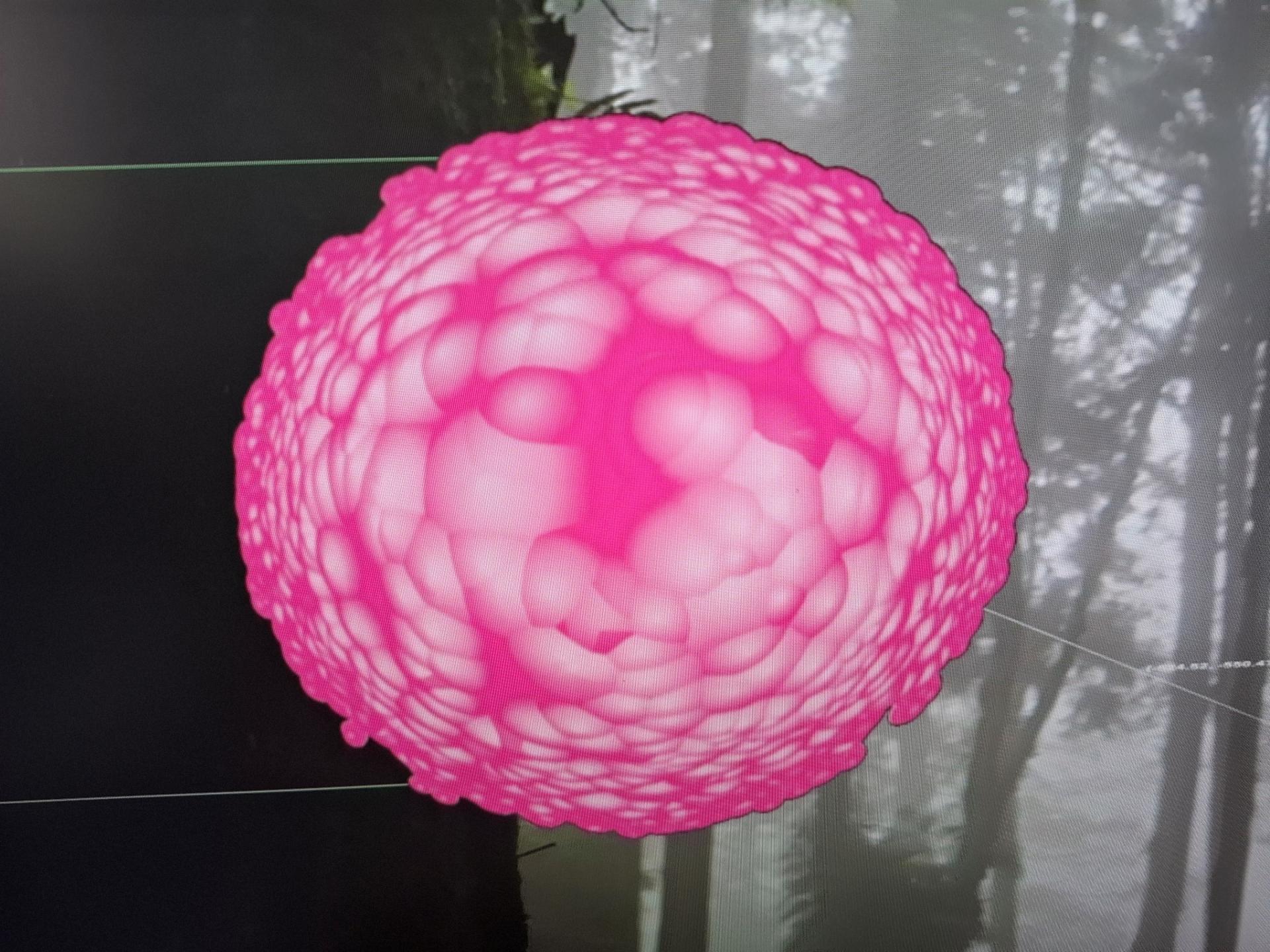  Symbiosis