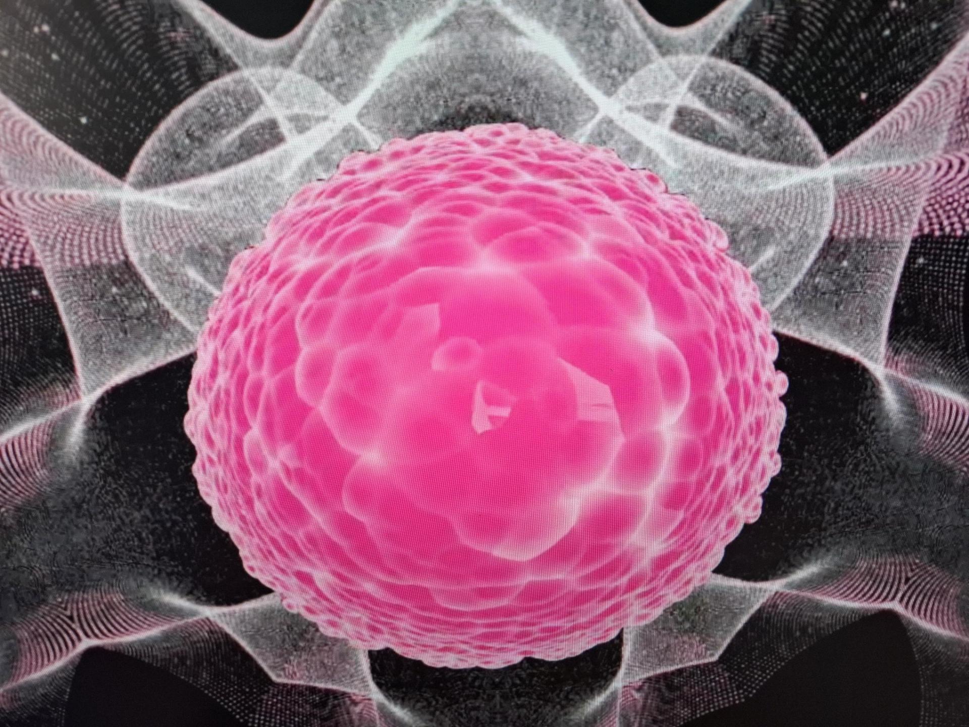  Symbiosis
