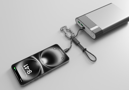 Multi-ChargeCarabiner keeper