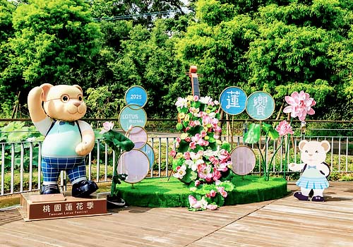 2025 Taoyuan Lotus Festival