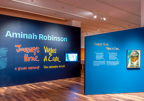 Aminah Robinson: Journeys Home, A Visual Memoir