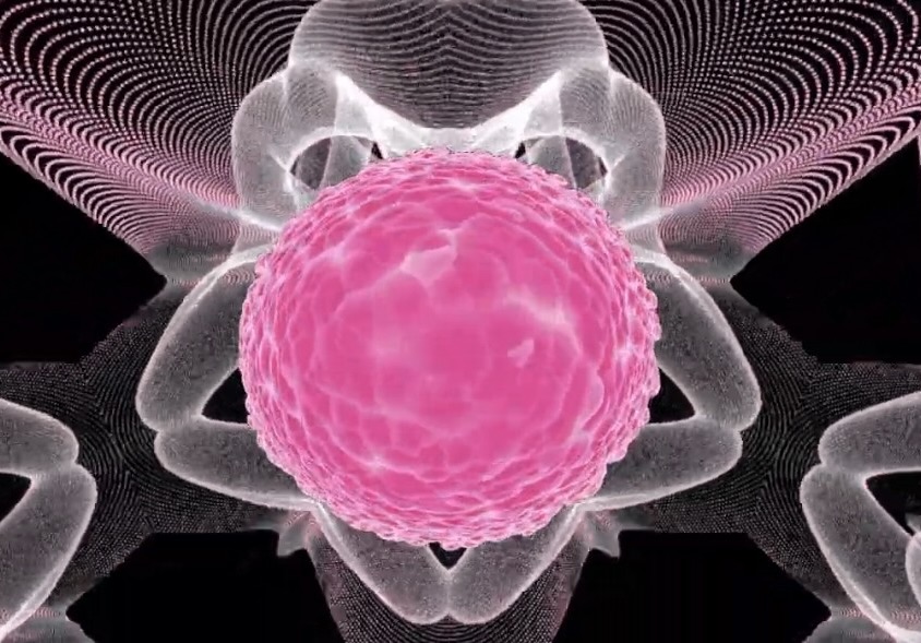  Symbiosis